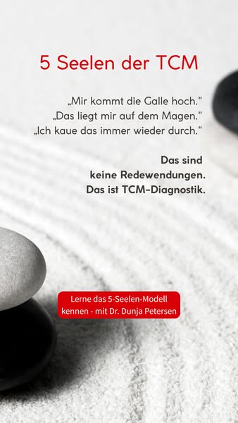 [NUR JETZT FÜR 49€] 5-Seelen-Kurs TCM