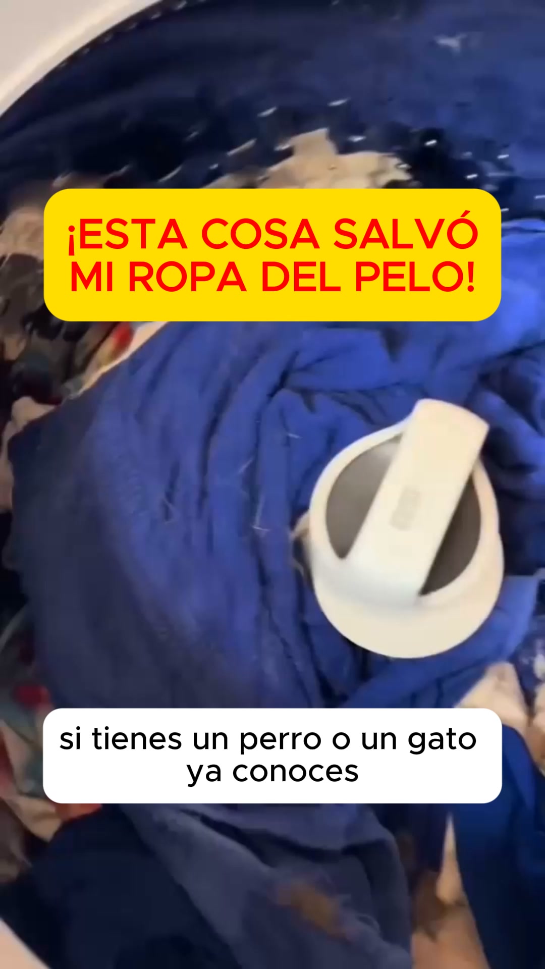 Funciona hasta con el pelo humano. Imagina con el de tu gato.