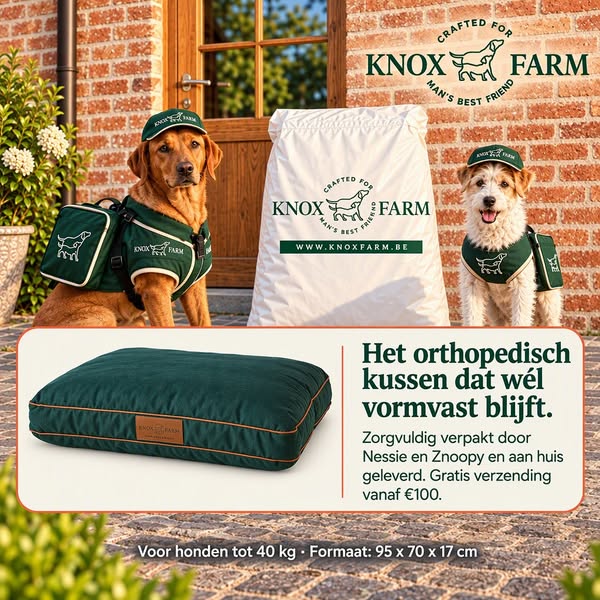 Snel in huis, heerlijk uitrusten.