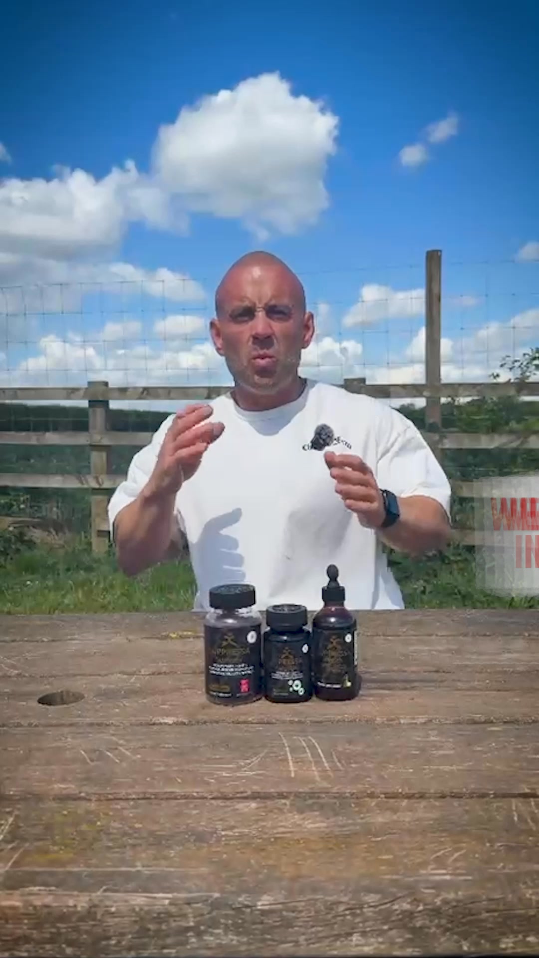 Get 46% OFF Our Shred Stack