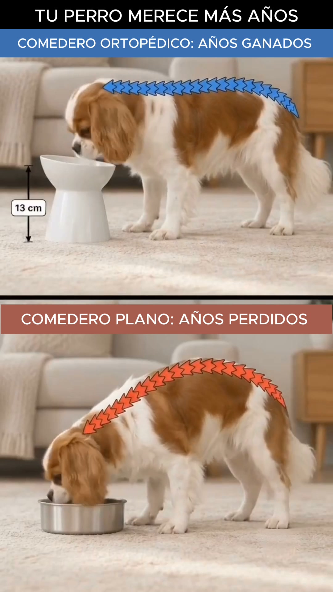 Comedero Elevado Inclinado