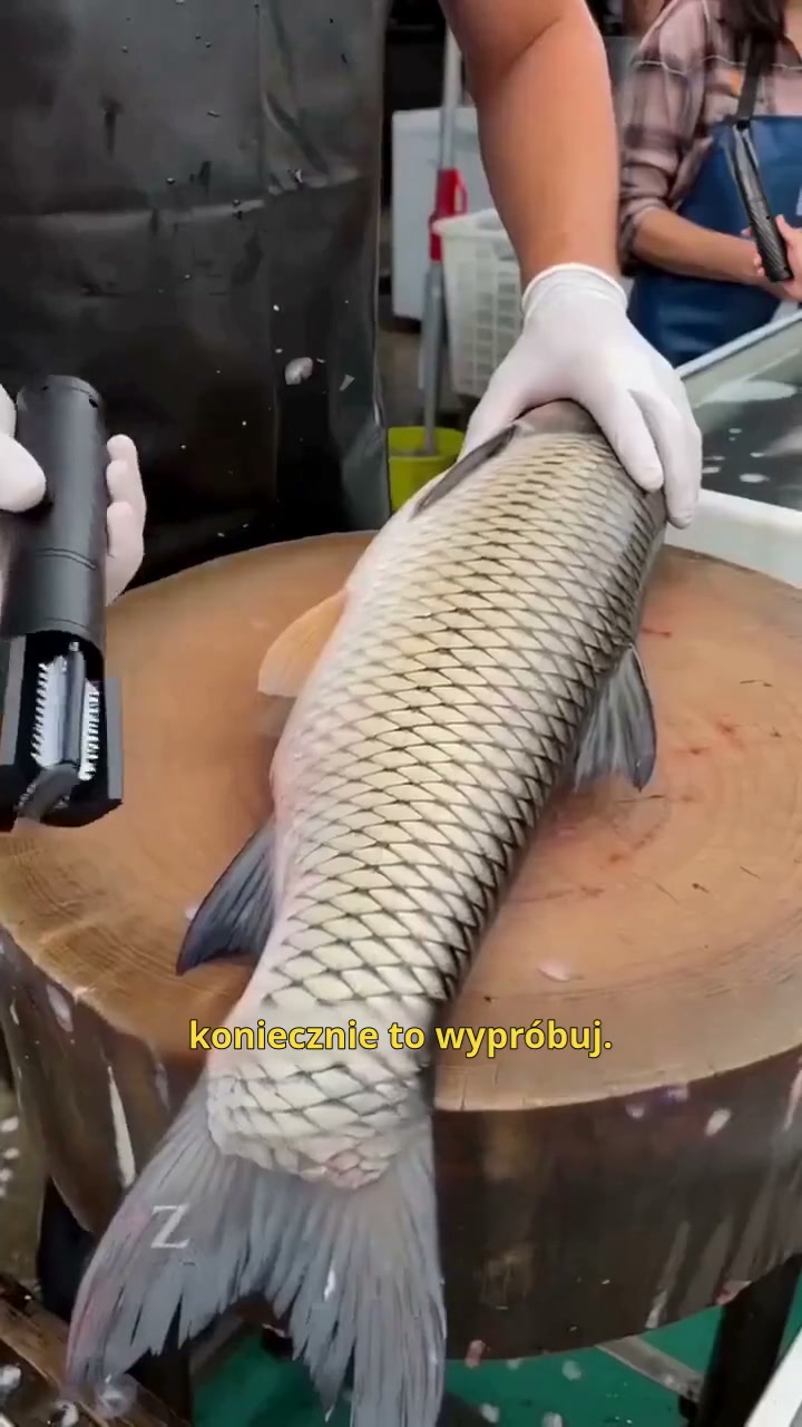 Anúncio de Currymessi bf