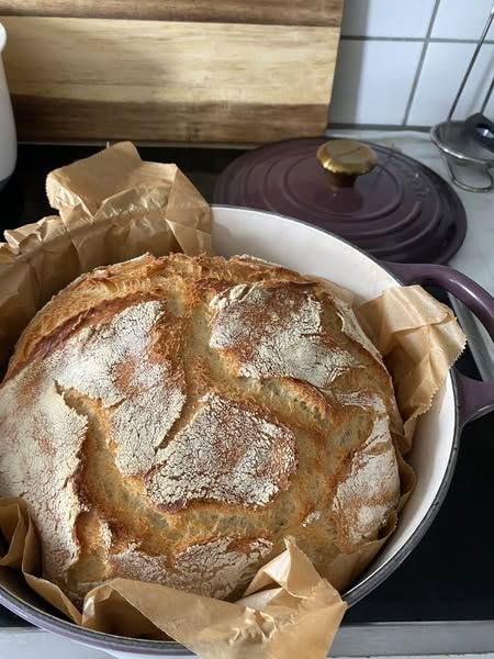 If your sourdough goes hard by Tuesday, read this.