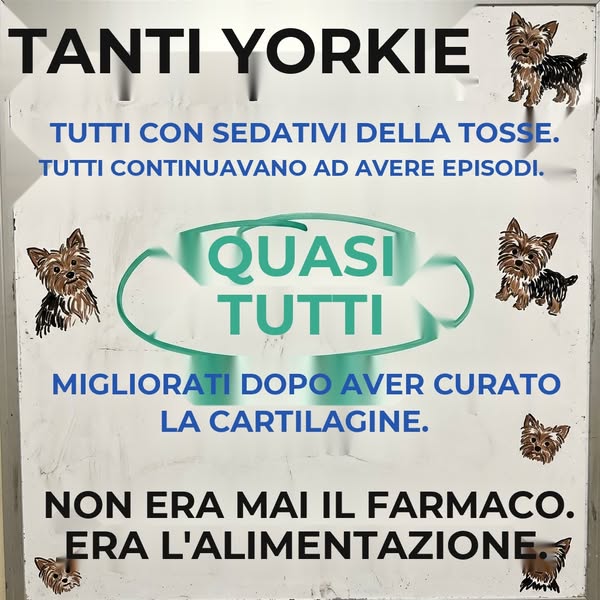Lo sciroppo per la tosse zittisce il rumore. Non ferma la trachea che cede.