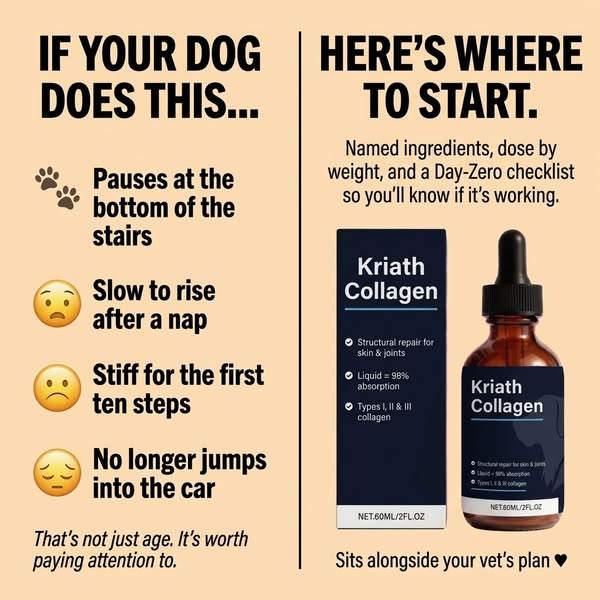 Noticed Any of These? Start Here.