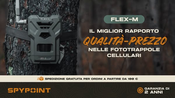 FLEX-M + 100 FOTO GRATUITE/MESE