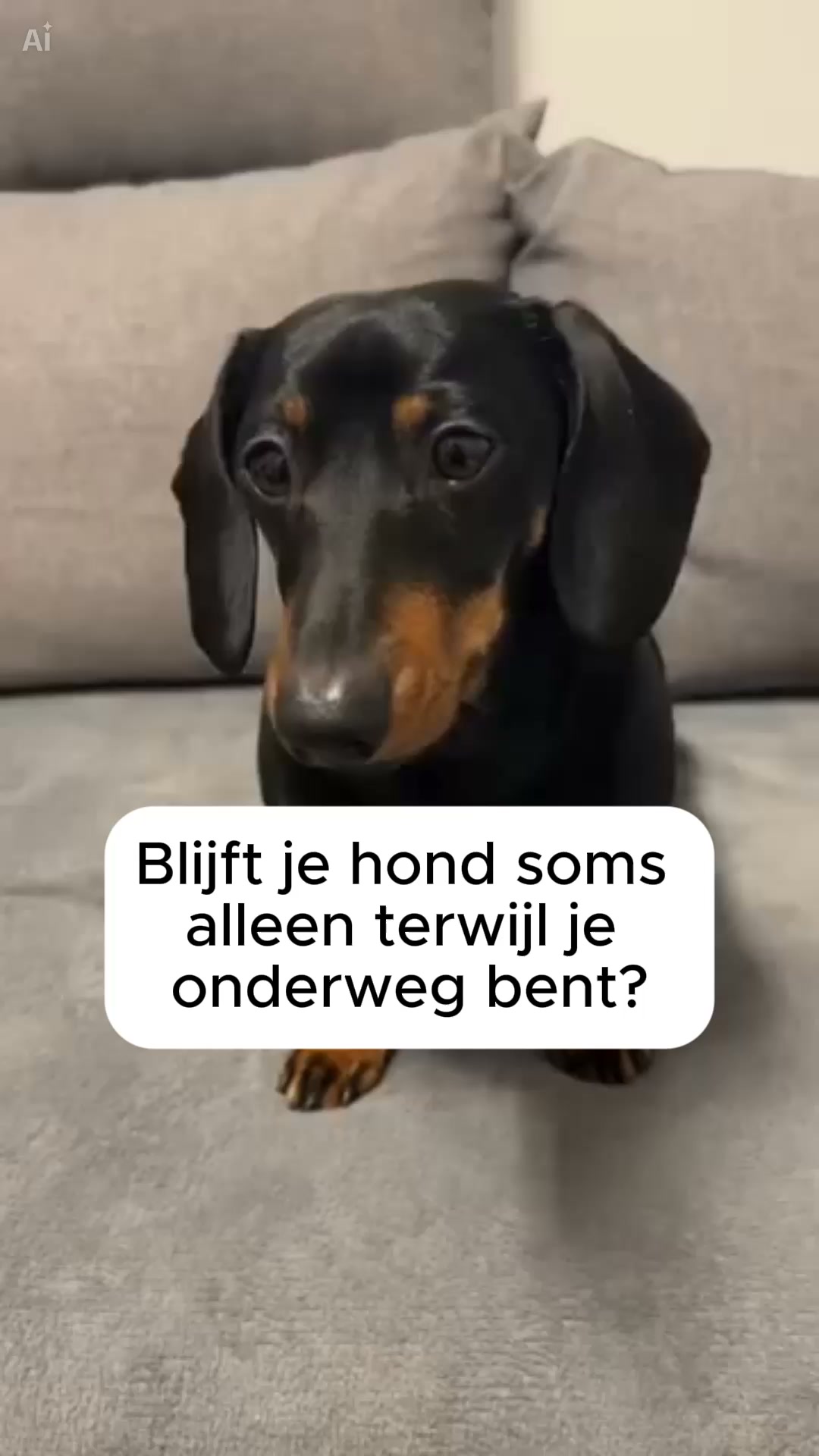30 dagen garantie