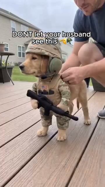 Your Little Soldier Is Ready for Duty