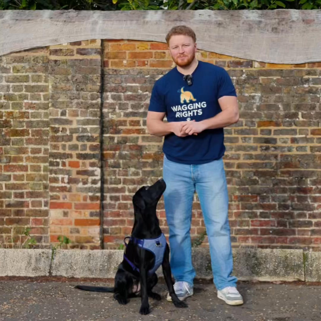£10 OFF – Code DOGGY10