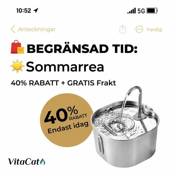 Visa omsorg och ge din katt fräschare vatten