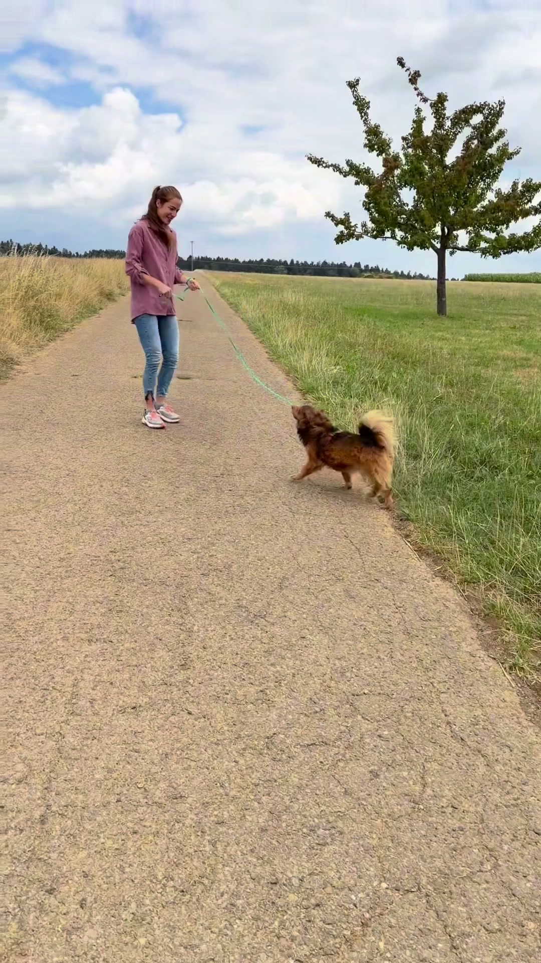 Jetzt Leine sichern!