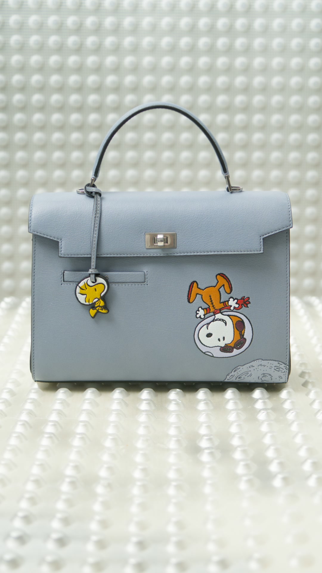 Snoopy: First Beagle In Space
