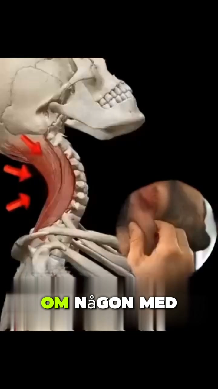 Värme, EMS och vibration i ett