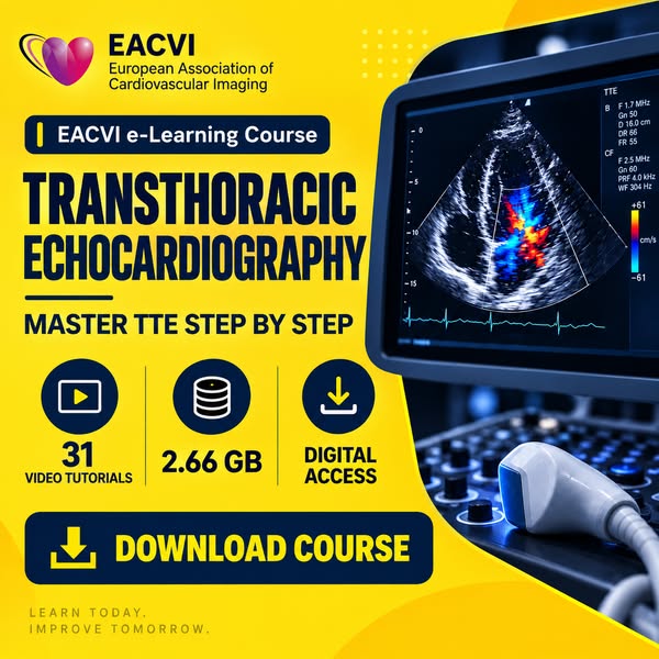 Echo Like a Pro: Learn Step-by-Step From Europe’s Experts