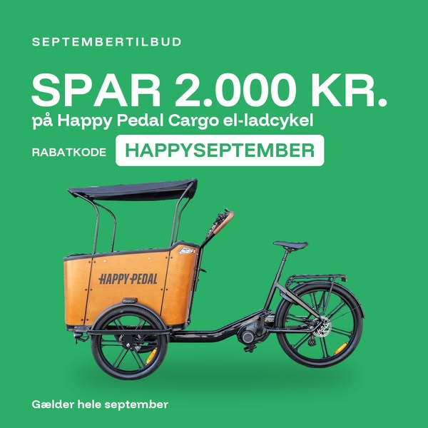 Den ultimative ladcykel til familien