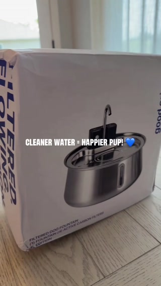 Your Dog Bowl Is Making Them Sick
