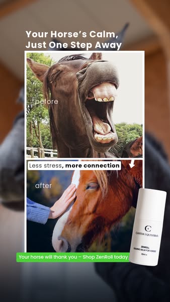 A calmer horse, a better ride