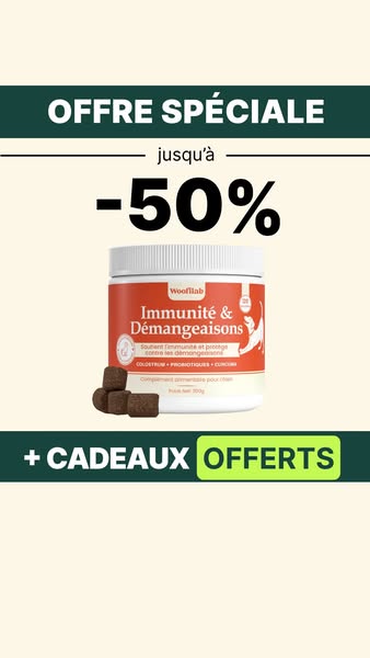 Offre valable aujourd'hui !