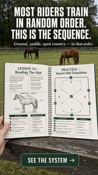 Unlock Your Horse's Potential