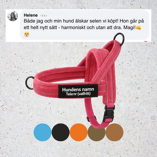 Hundsele med antidrag
