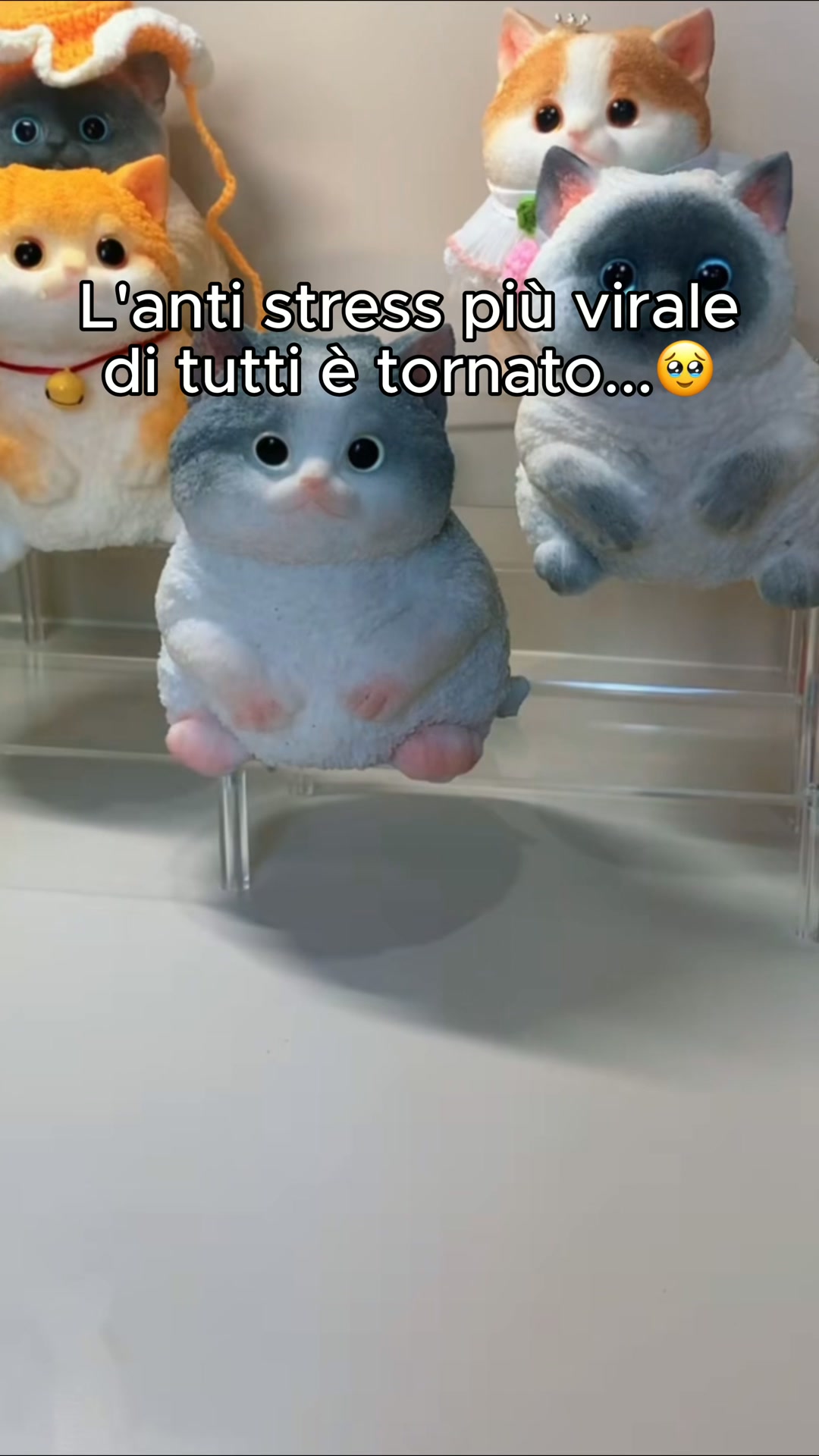 Mochi™ - Gatto Squishy
