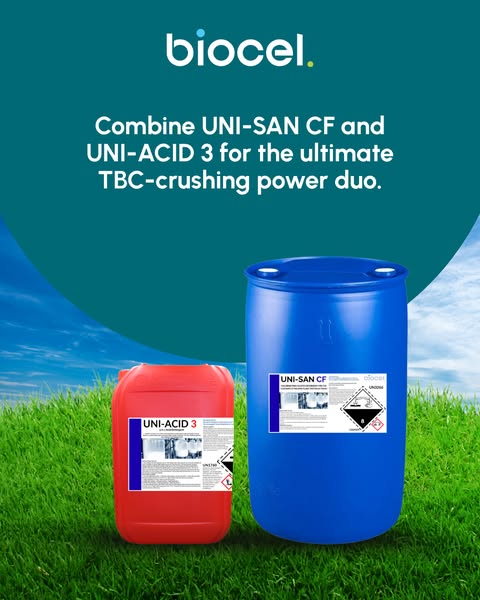 Crush High TBC Counts with UNI-SAN CF