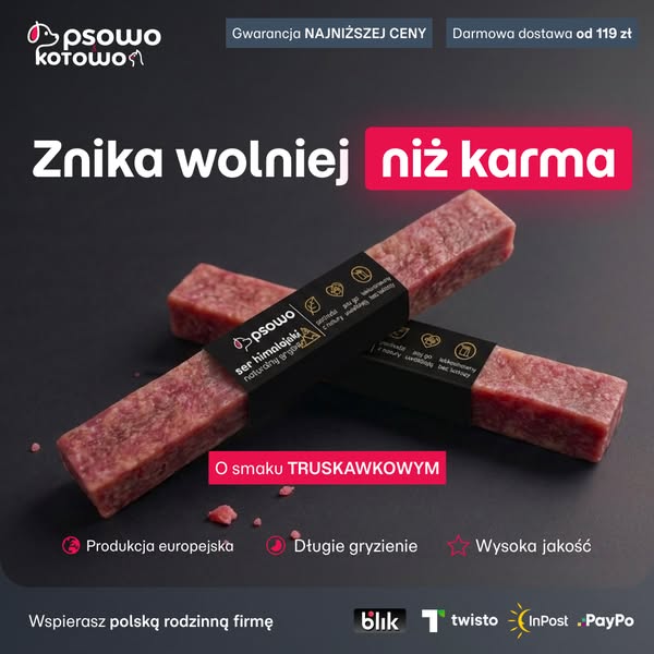 Kup teraz ser himalajski dla psa