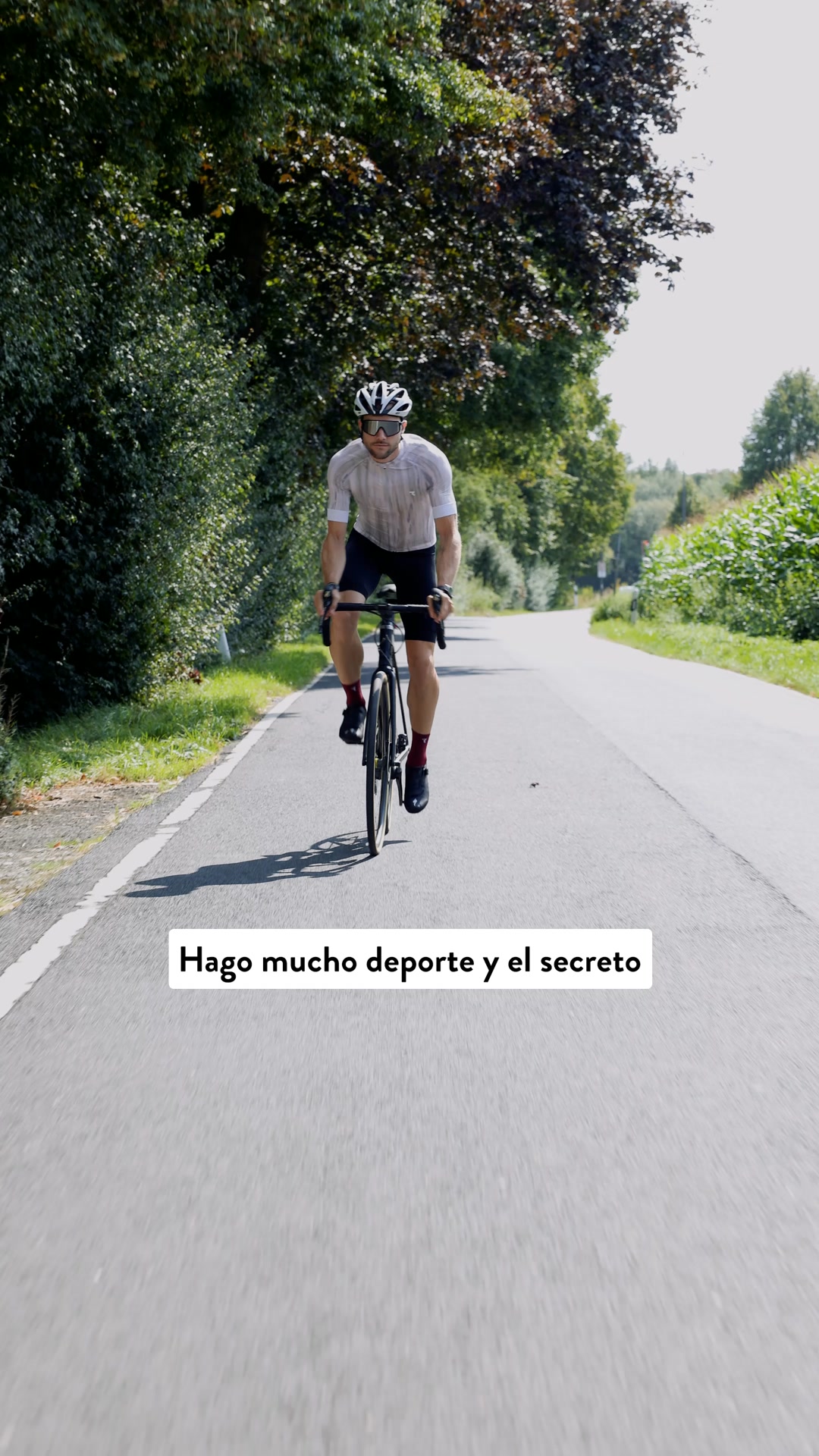 Regenera como un profesional