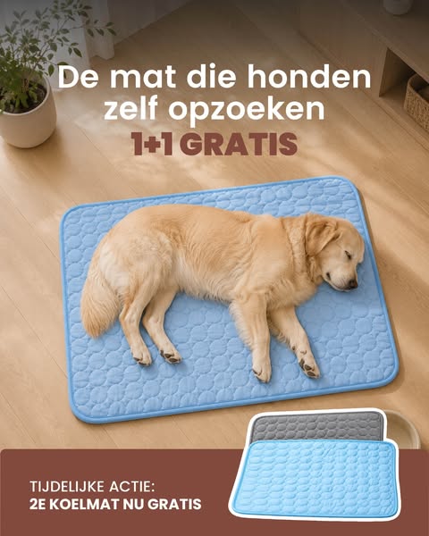 Geen stroom, geen water, gewoon neerleggen