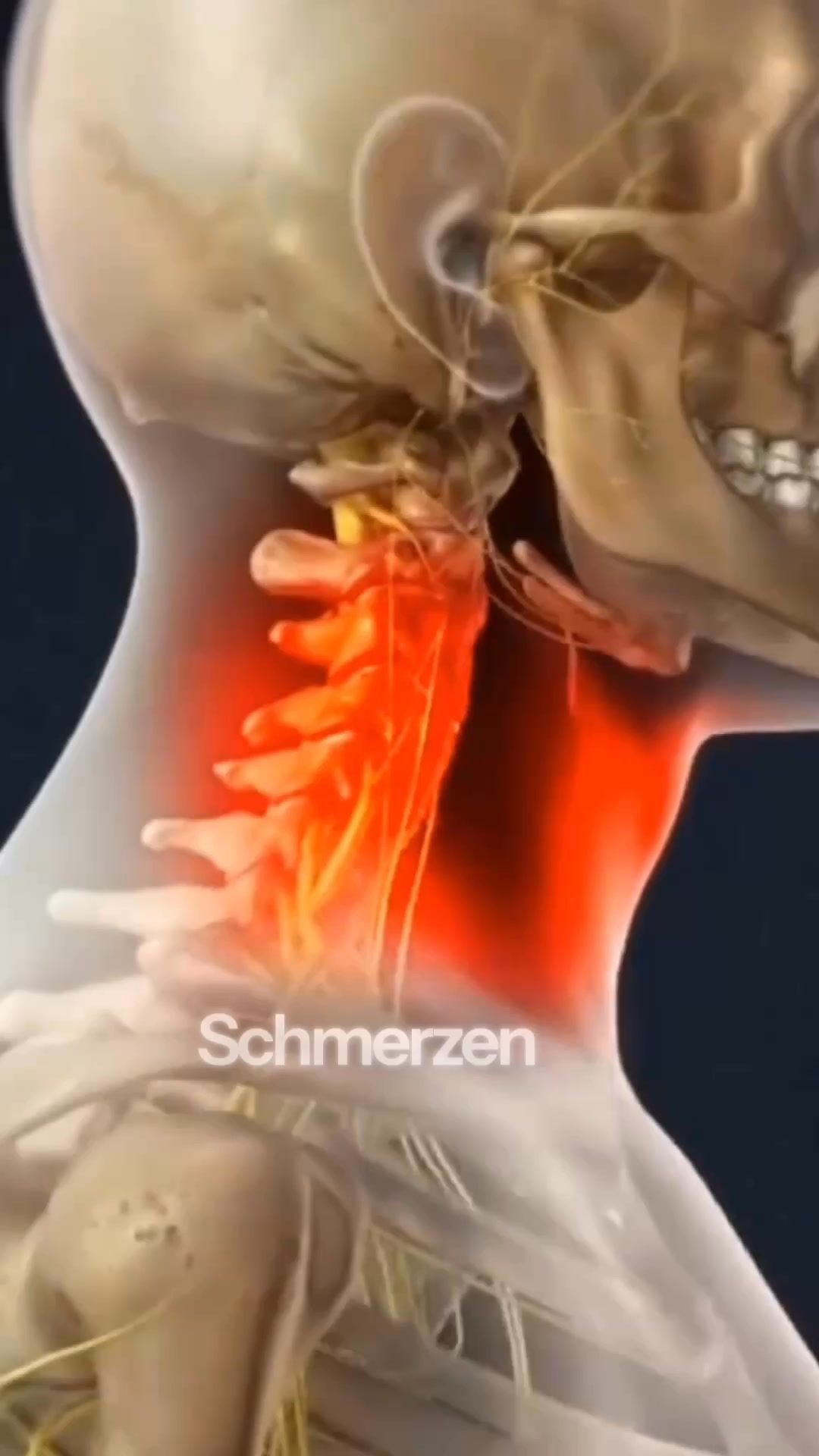 Nacken im Schlaf besser unterstützen