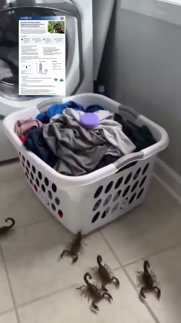 Anúncio de Hpsgoods-S