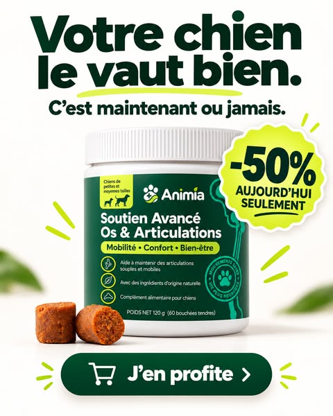 Dernière chance : offre jusqu’à ce soir