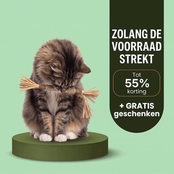 September Aanbieding: Korting + Gratis Cadeaus