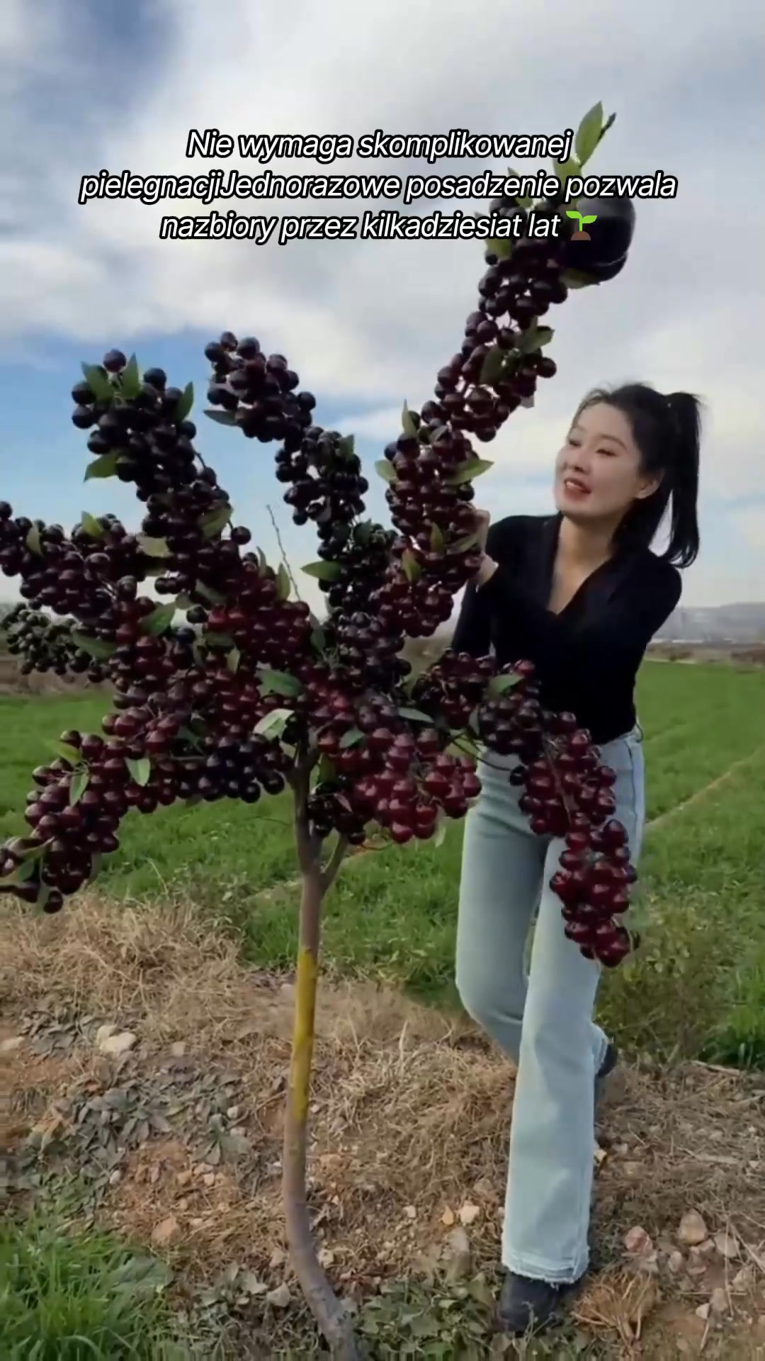 Anúncio de Liccuyb-shop
