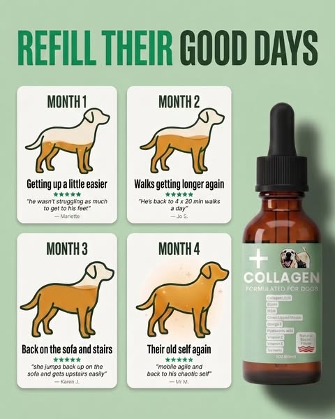 Waggle Hounds® 9 in 1 Premium Liquid Collagen