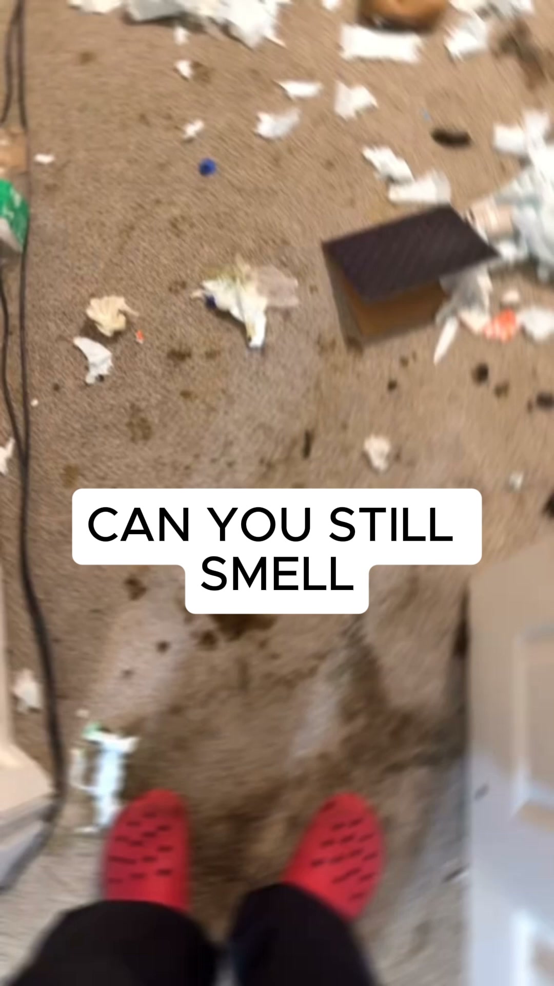 Nope... It's a New Carpet.