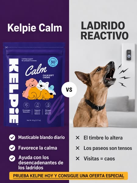 CONSIGUE UN 70% DE DESCUENTO + Envío GRATIS