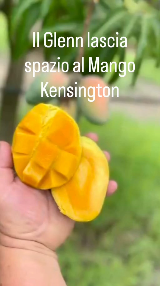 Il Kensington è arrivato!