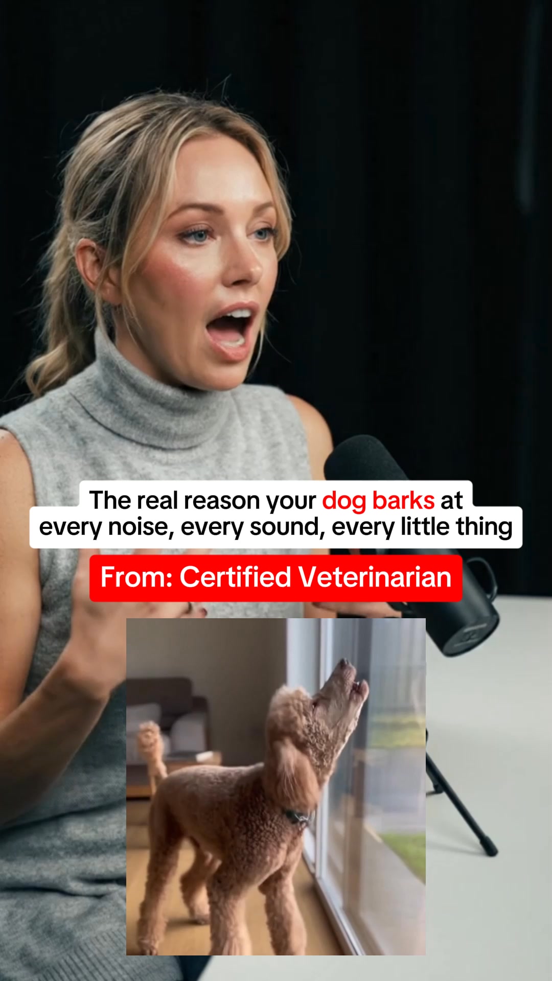 Claim your FREE Poop Bags + 40%OFF!