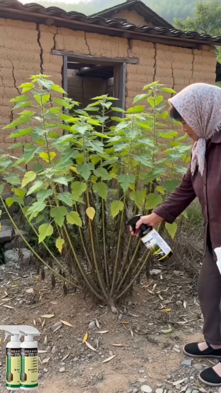 Stop Hurting Your Back! The Easiest Way to Eliminate Weeds Permanently.