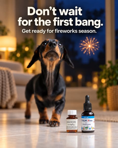 Natural Calming for Noise Sensitive Dogs