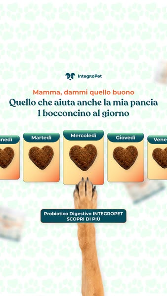 Aiuta il tuo cane oggi