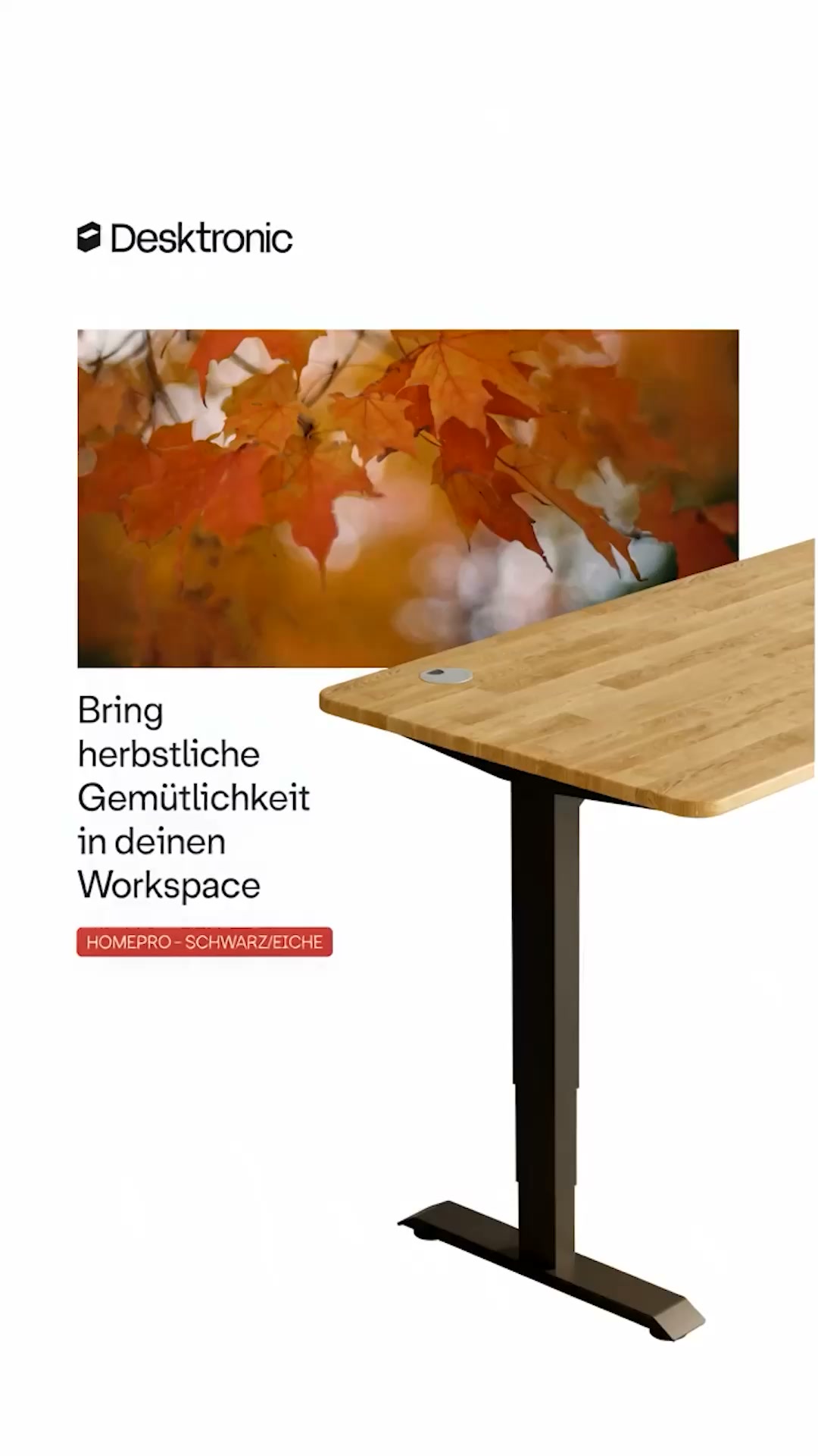Wohliger Herbst, besserer Schreibtisch