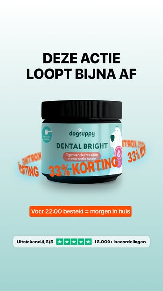 Bestel vóór 22:00 = morgen in huis