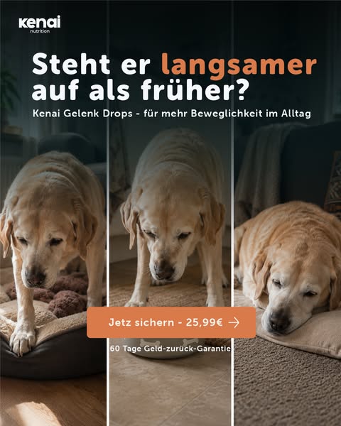 Was steife Gelenke täglich brauchen