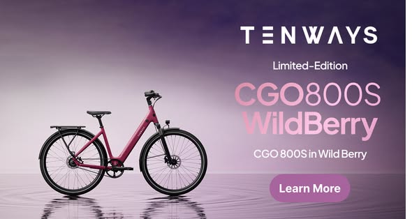 Stand Out in Wild Berry