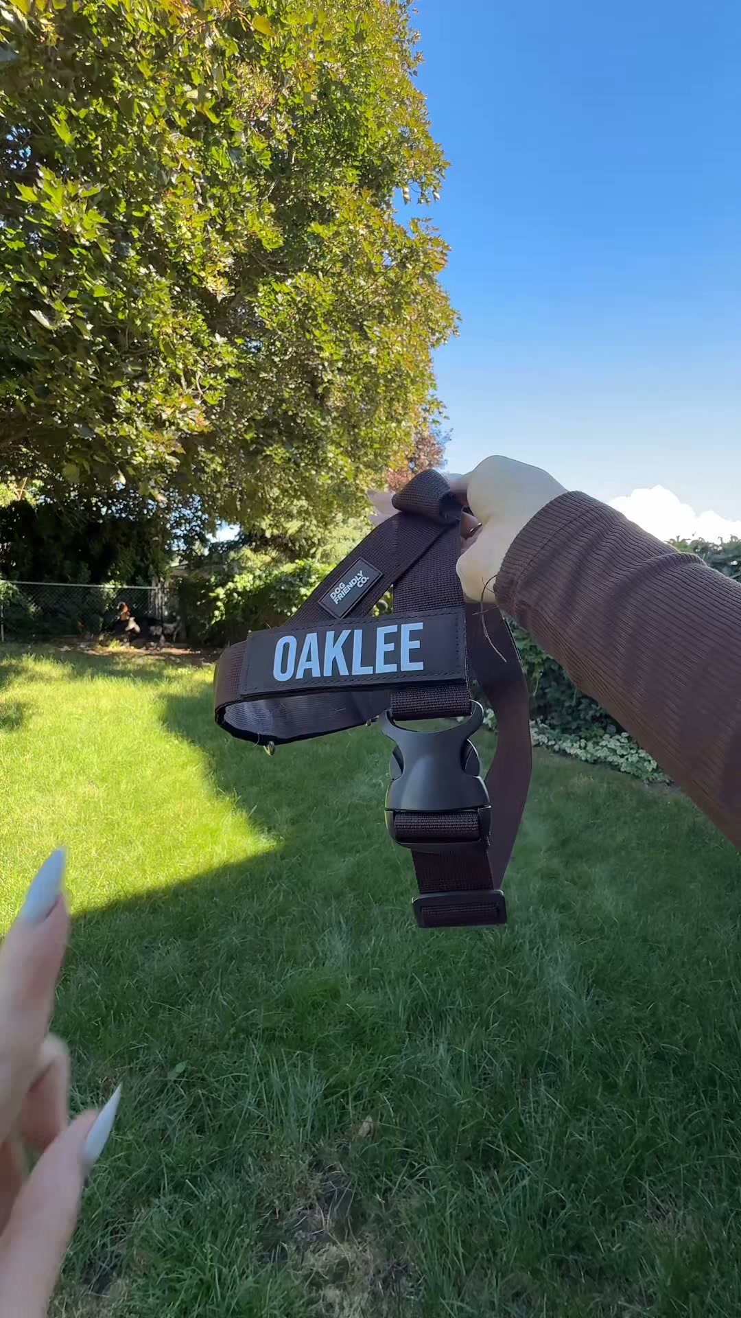 Rated #1 By Dog Owners