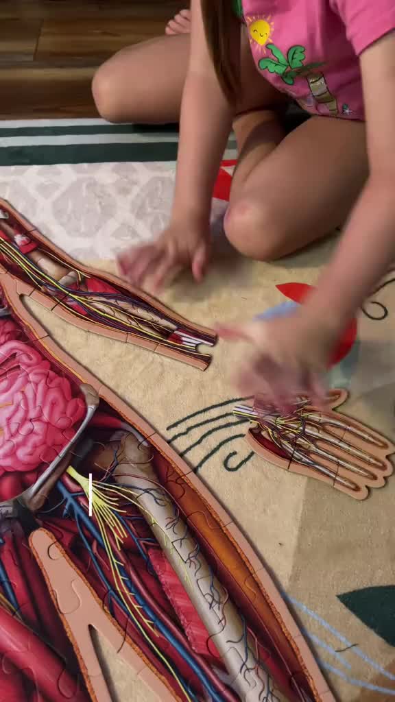 Human Anatomy Puzzle for Kids