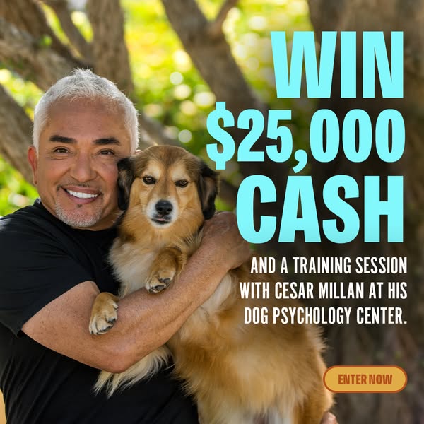 Win $25,000 and a Private Training Session with Me