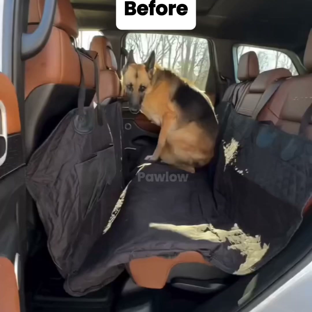 Say Goodbye to Messy Rides